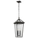 Myhouse Lighting Kichler - 59130OZ - Two Light Outdoor Pendant - Regence - Olde Bronze