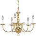 Myhouse Lighting Progress Lighting - P4346-10 - Five Light Chandelier - Americana - Polished Brass