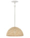 Myhouse Lighting Hinkley - 38464TXP - LED Pendant - Dalia - Textured Plaster