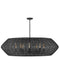 Myhouse Lighting Hinkley - 40386BLK - LED Chandelier - Luca - Black