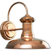 Myhouse Lighting Progress Lighting - P5722-14 - One Light Wall Lantern - Brookside - Cognac