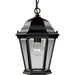 Myhouse Lighting Progress Lighting - P5582-31 - One Light Hanging Lantern - Welbourne - Textured Black