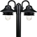 Myhouse Lighting Progress Lighting - P5493-31 - Two Light Post Lantern - Newport - Textured Black