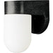 Myhouse Lighting Progress Lighting - P5817-31 - One Light Wall Lantern - Polycarbonate Outdoor - Black