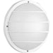 Myhouse Lighting Progress Lighting - P5703-30 - One Light Wall Lantern - Polycarbonate Outdoor - White