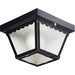 Myhouse Lighting Progress Lighting - P5727-31 - One Light Outdoor Flush Mount - Ceiling Mount - Black