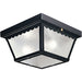 Myhouse Lighting Progress Lighting - P5729-31 - Two Light Outdoor Flush Mount - Ceiling Mount - Black