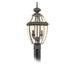 Myhouse Lighting Generation Lighting - 8229-71 - Two Light Outdoor Post Lantern - Lancaster - Antique Bronze