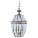 Myhouse Lighting Generation Lighting - 6039-965 - Three Light Outdoor Pendant - Lancaster - Antique Brushed Nickel