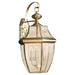 Myhouse Lighting Generation Lighting - 8040-02 - Three Light Outdoor Wall Lantern - Lancaster - Polished Brass