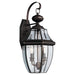 Myhouse Lighting Generation Lighting - 8039-71 - Two Light Outdoor Wall Lantern - Lancaster - Antique Bronze