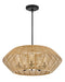 Myhouse Lighting Hinkley - 10385BK-CML - LED Chandelier - Luca - Black