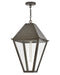 Myhouse Lighting Hinkley - 28862BLB - LED Hanging Lantern - Endsley - Blackened Brass