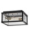 Myhouse Lighting Hinkley - 28881BK - LED Flush Mount - Monte - Black