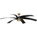 Myhouse Lighting Progress Lighting - P250108-163-30 - 72"Ceiling Fan - Insigna - Vintage Brass