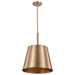 Myhouse Lighting Nuvo Lighting - 60-7938 - One Light Pendant - Alexis - Burnished Brass / Gold