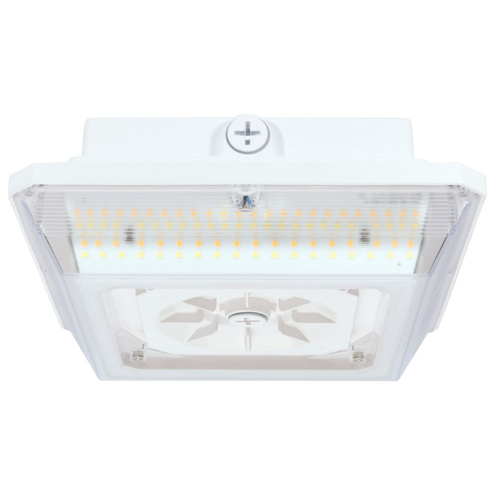 Myhouse Lighting Nuvo Lighting - 65-634 - LED Wide Beam Angle Canopy - White