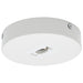 Myhouse Lighting Nuvo Lighting - TP248 - Track - Parts