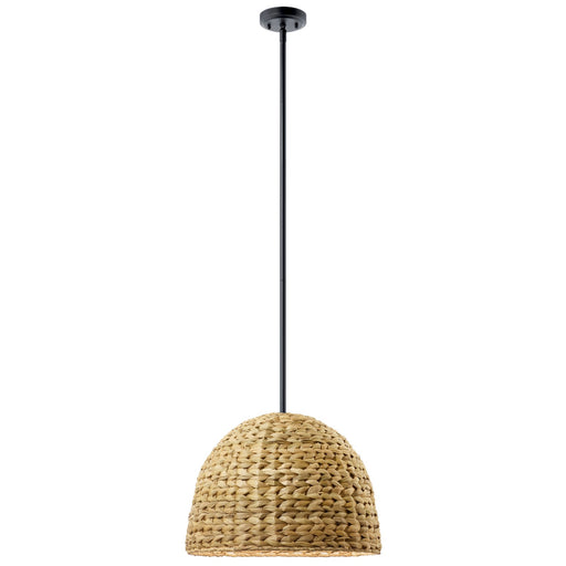 Myhouse Lighting Kichler - 44399BK - One Light Mini Pendant - Raffiana - Black