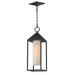 Myhouse Lighting Maxim - 30079SWBK - One Light Outdoor Pendant - Aldous - Black