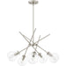 Myhouse Lighting Quoizel - ASA5026BN - Five Light Chandelier - Asha - Brushed Nickel