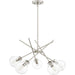 Myhouse Lighting Quoizel - ASA5026BN - Five Light Chandelier - Asha - Brushed Nickel