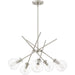 Myhouse Lighting Quoizel - ASA5026BN - Five Light Chandelier - Asha - Brushed Nickel