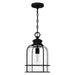 Myhouse Lighting Quoizel - BWE1510EK - One Light Mini Pendant - Bowles - Earth Black