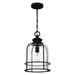 Myhouse Lighting Quoizel - BWE1510EK - One Light Mini Pendant - Bowles - Earth Black