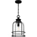 Myhouse Lighting Quoizel - BWE1910EK - One Light Outdoor Hanging Lantern - Bowles - Earth Black