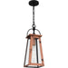 Myhouse Lighting Quoizel - CLN1907AC - One Light Outdoor Hanging Lantern - Carolina - Aged Copper