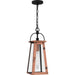 Myhouse Lighting Quoizel - CLN1907AC - One Light Outdoor Hanging Lantern - Carolina - Aged Copper