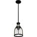 Myhouse Lighting Quoizel - CNE1508MBK - One Light Mini Pendant - Cornelia - Matte Black