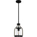 Myhouse Lighting Quoizel - CNE1508MBK - One Light Mini Pendant - Cornelia - Matte Black