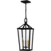 Myhouse Lighting Quoizel - HUL1909MBK - Three Light Outdoor Hanging Lantern - Hull - Matte Black