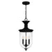 Myhouse Lighting Quoizel - HVN1510EK - Three Light Pendant - Havana - Earth Black