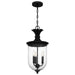 Myhouse Lighting Quoizel - HVN1510EK - Three Light Pendant - Havana - Earth Black