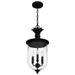 Myhouse Lighting Quoizel - HVN1510EK - Three Light Pendant - Havana - Earth Black