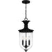 Myhouse Lighting Quoizel - HVN1510EK - Three Light Pendant - Havana - Earth Black