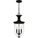 Myhouse Lighting Quoizel - HVN1910EK - Three Light Outdoor Hanging Lantern - Havana - Earth Black