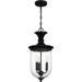 Myhouse Lighting Quoizel - HVN1910EK - Three Light Outdoor Hanging Lantern - Havana - Earth Black