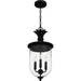 Myhouse Lighting Quoizel - HVN1910EK - Three Light Outdoor Hanging Lantern - Havana - Earth Black