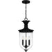 Myhouse Lighting Quoizel - HVN1910EK - Three Light Outdoor Hanging Lantern - Havana - Earth Black