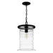 Myhouse Lighting Quoizel - NAD1510MBK - One Light Mini Pendant - Noland - Matte Black