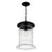 Myhouse Lighting Quoizel - NAD1510MBK - One Light Mini Pendant - Noland - Matte Black