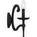 Myhouse Lighting Quoizel - OCA8714EK - Two Light Wall Sconce - Octavia - Earth Black