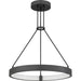 Myhouse Lighting Quoizel - PCDRU2824PCI - LED Pendant - Drury - Pewter Cast Iron