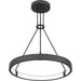 Myhouse Lighting Quoizel - PCDRU2824PCI - LED Pendant - Drury - Pewter Cast Iron