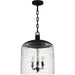 Myhouse Lighting Quoizel - QP6205MBK - Three Light Pendant - Quoizel Pendant - Matte Black