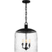 Myhouse Lighting Quoizel - QP6205MBK - Three Light Pendant - Quoizel Pendant - Matte Black